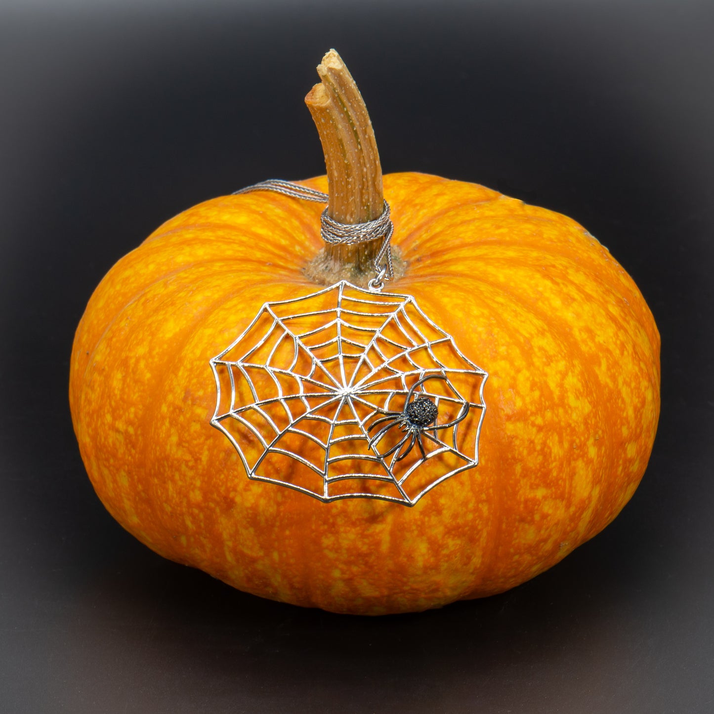 Wonderful Web