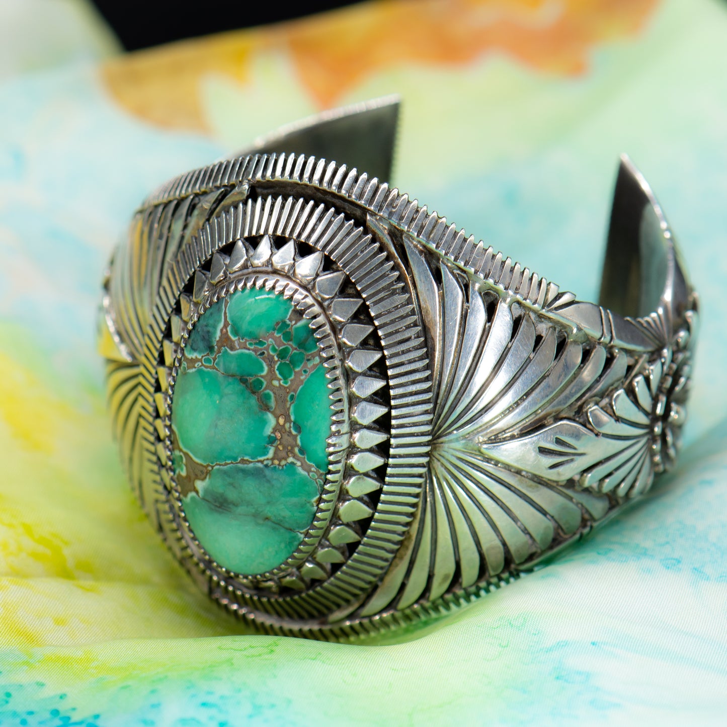 Navajo Spirit