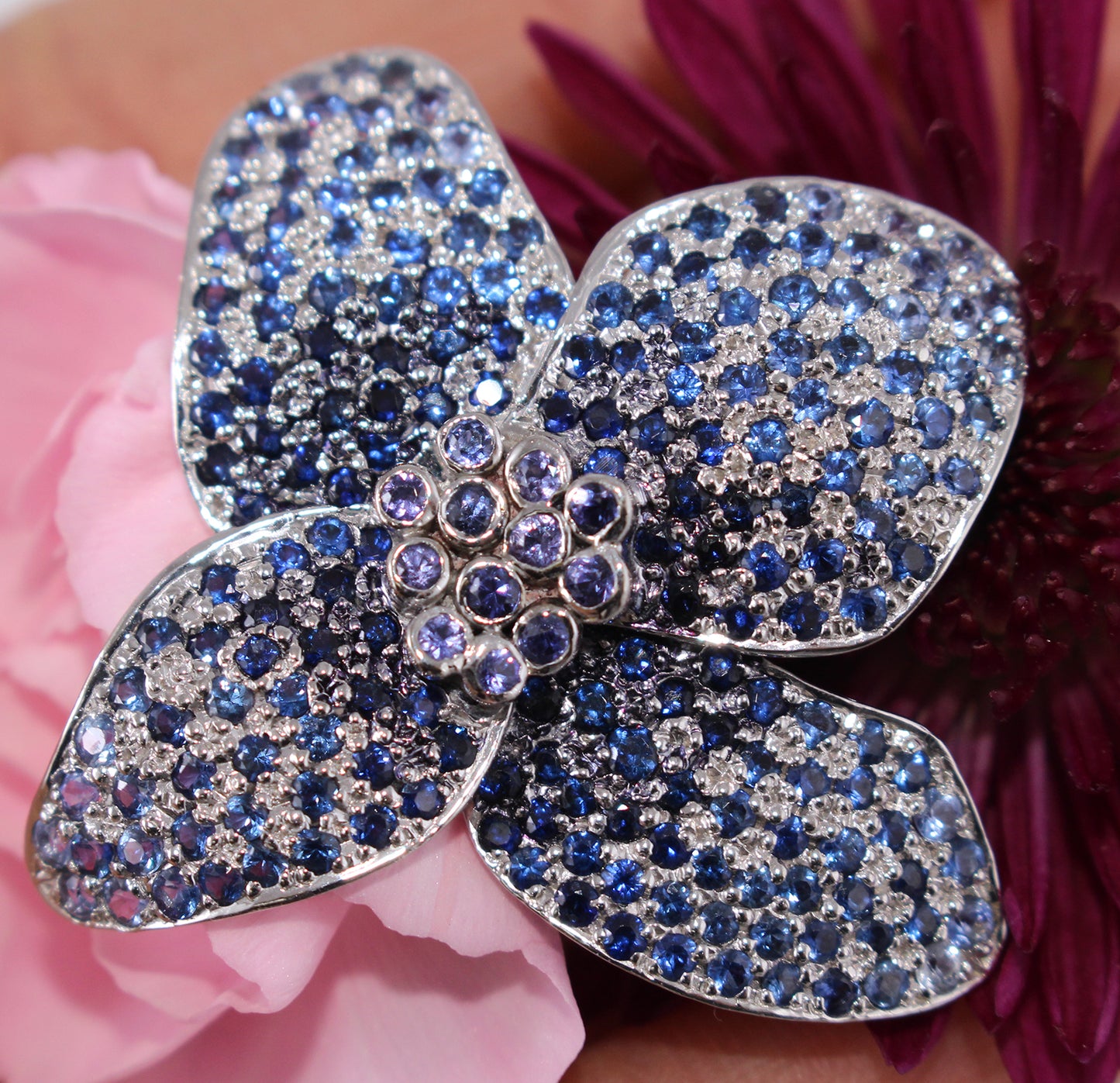 Jeweled Himalayan Blue Poppy