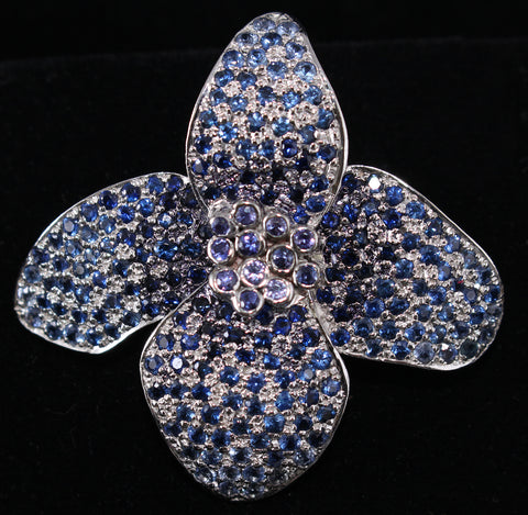 Jeweled Himalayan Blue Poppy