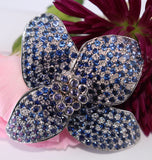 Jeweled Himalayan Blue Poppy